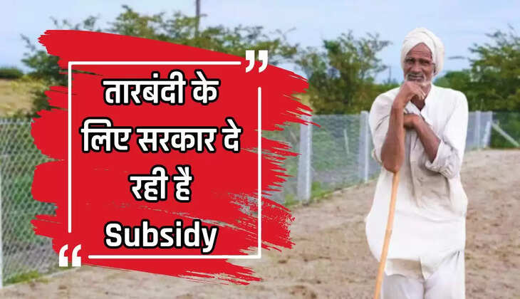 किसानों को सरकार खेतों की तारबंदी के लिए दे रही है अनुदान, जल्द से जल्द ऐसे करें आवेदन