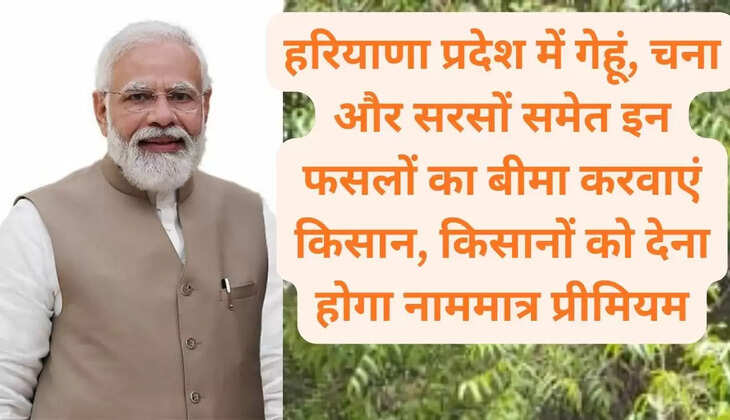 हरियाणा प्रदेश में गेहूं, चना और सरसों समेत इन फसलों का बीमा करवाएं किसान, किसानों को देना होगा नाममात्र प्रीमियम