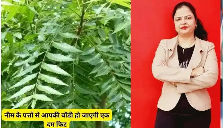 Neem leaves have amazing benefits for the body; consuming them daily in the morning will make you forget about going to the doctor