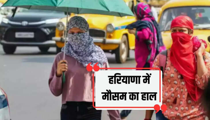 Haryana Weather: हरियाणा में आज ये जिला रहा सबसे गरम, देखें जिलों के हिसाब से मौसम का हाल 