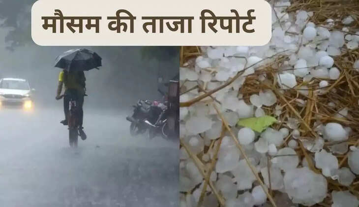 Weather of 5 June 2025, there will be rain with thunder and lightning in Haryana, Rajasthan and other states