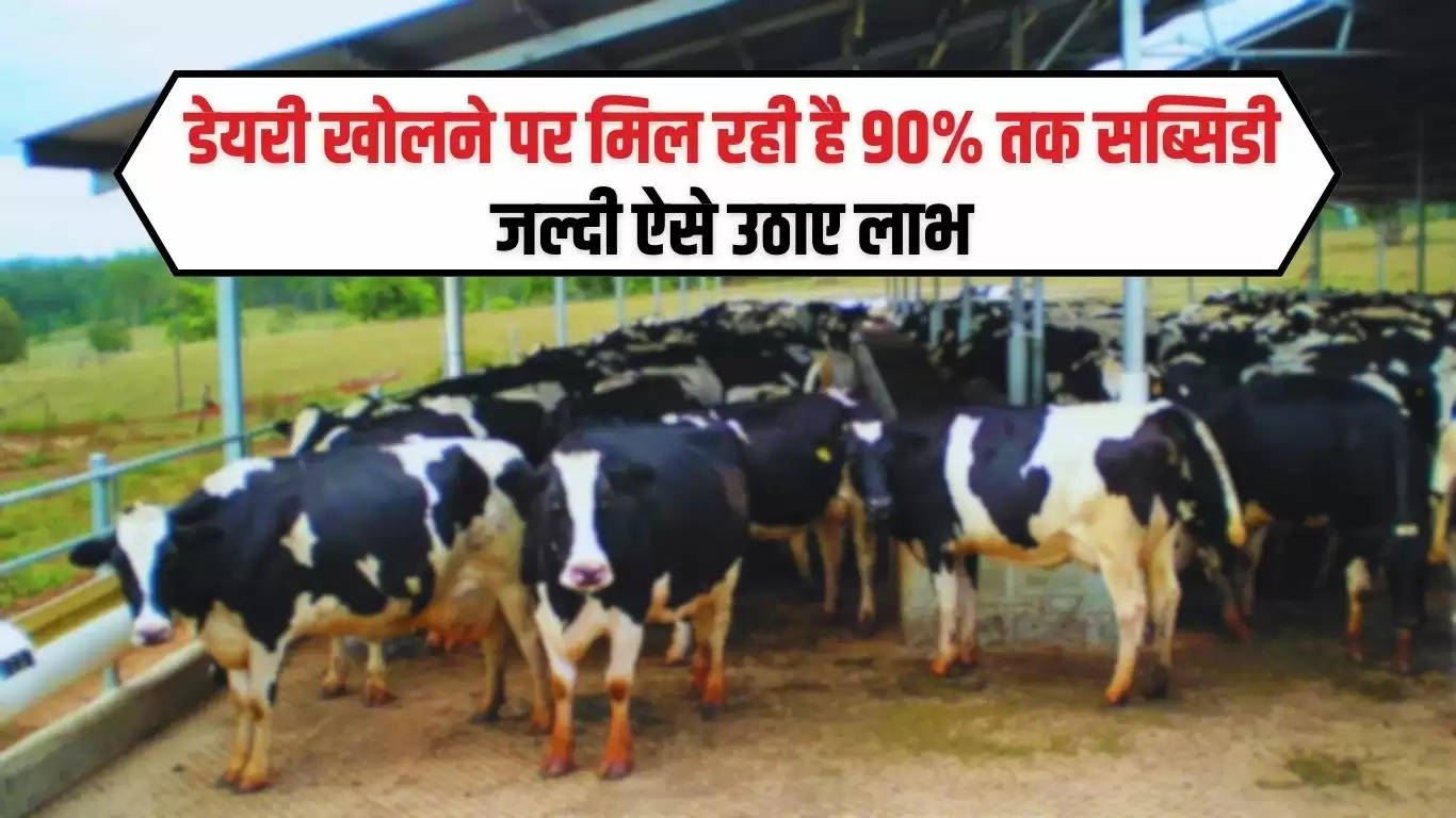  Dairy Loan Subsidy Scheme : डेयरी खोलने पर मिल रही है 90% तक सब्सिडी, जल्दी ऐसे उठाए लाभ 
