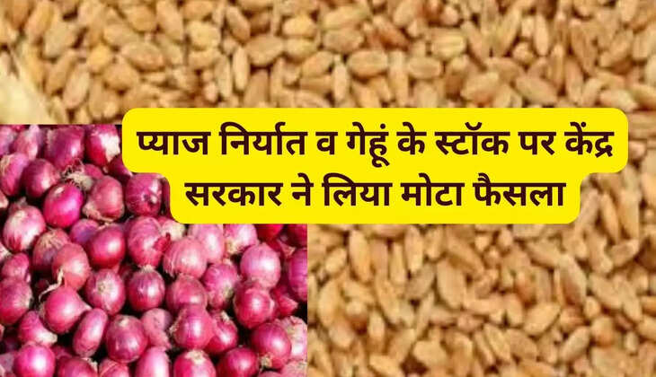 प्याज, गेहूं: प्याज निर्यात व गेहूं के स्टॉक पर केंद्र सरकार ने लिया मोटा फैसला
