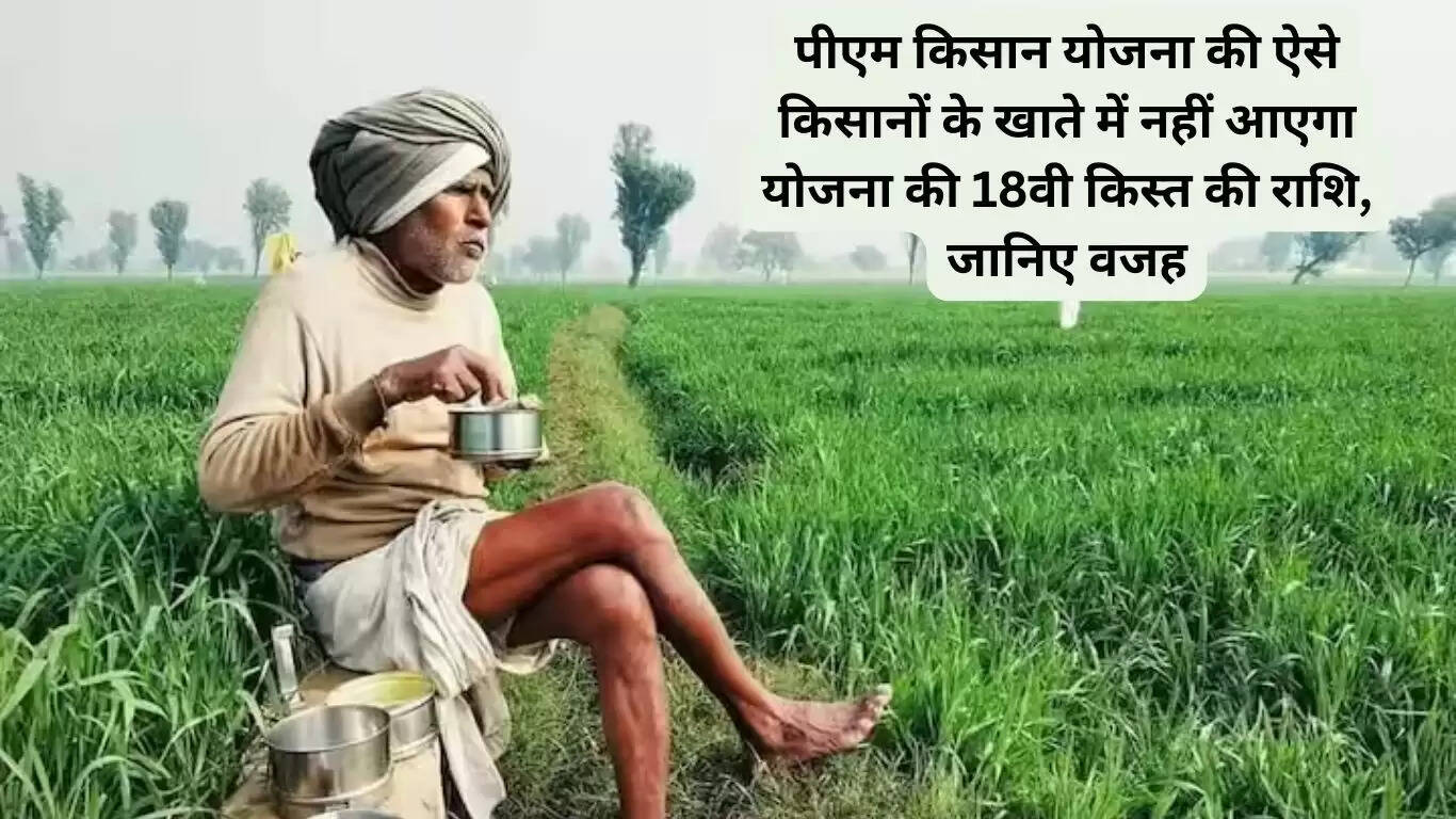 पीएम किसान योजना की ऐसे किसानों के खाते में नहीं आएगा योजना की 18वी किस्त की राशि, जानिए वजह