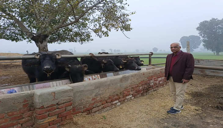  पशुओं का इस तरह रखे ध्यान 