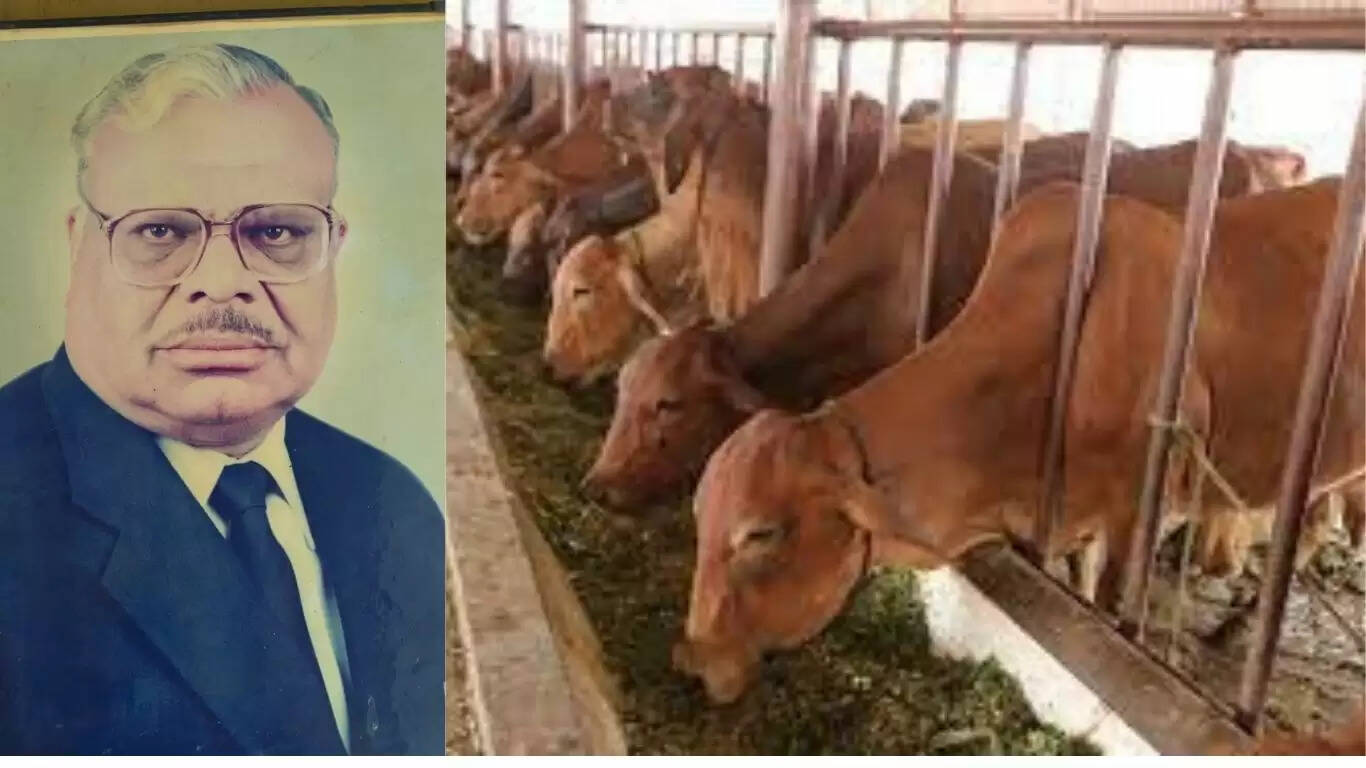 Cheques of Rs 2 lakh each were presented to 9 cow shelters and institutions of Sirsa