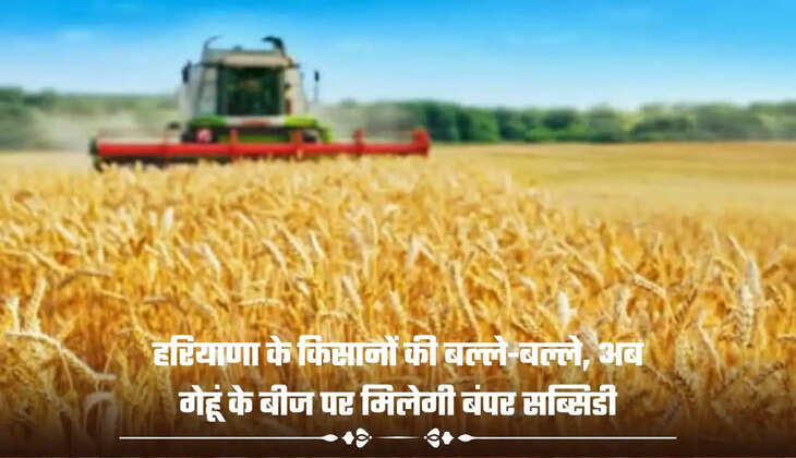 हरियाणा के किसानों की बल्ले-बल्ले, अब गेहूं के बीज पर मिलेगी बंपर सब्सिडी