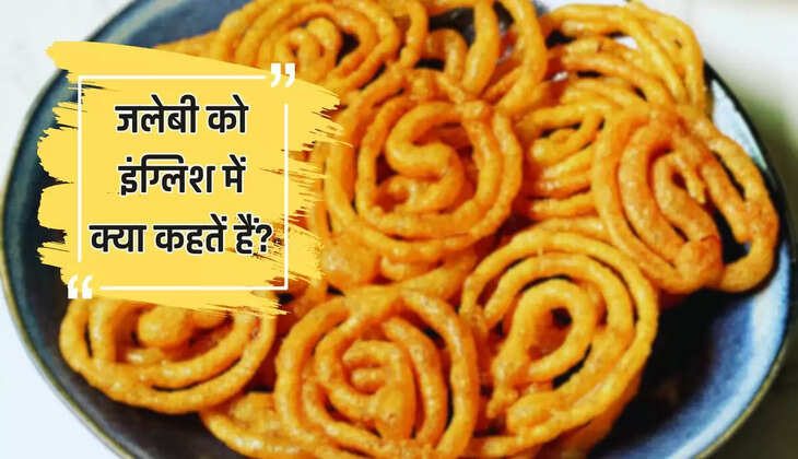 Jalebi In English: जलेबी को इंग्लिश में क्या कहतें हैं? नाम जानकर उड़ जाएंगे होश