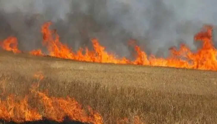 पराली जलाने पर 1256 चालान कर 33 लाख रुपये वसूला जुर्माना