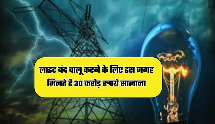 लाइट बंद चालू करने के लिए इस जगह मिलते है 30 करोड़ रुपये सालाना, जाने पूरी खबर  
