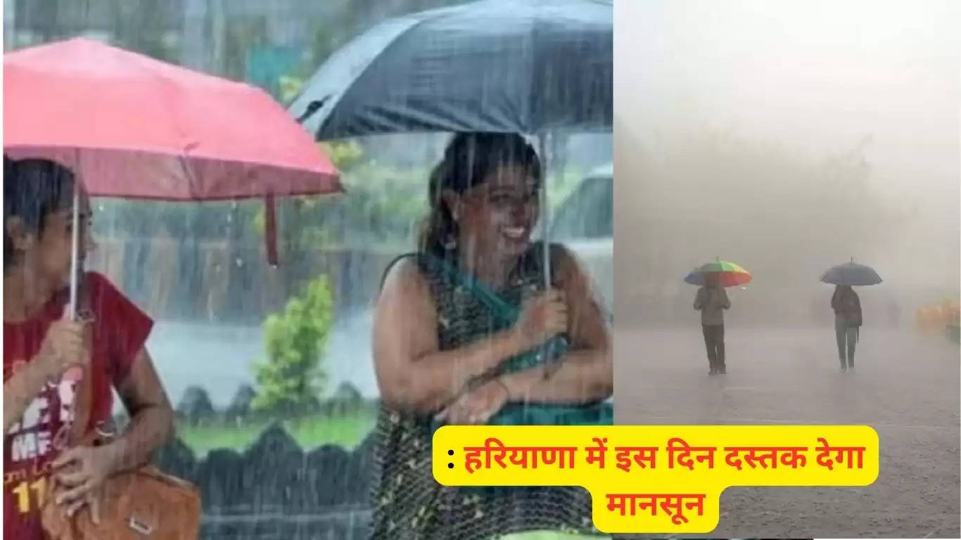 Chance of heavy rain for 3 days in Haryana, see latest weather report