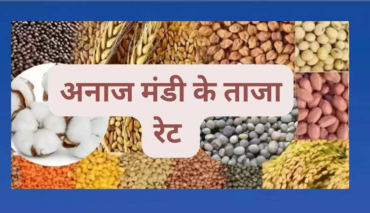Crops were sold at this rate in Sirsa grain market of Haryana on 12 August 2025