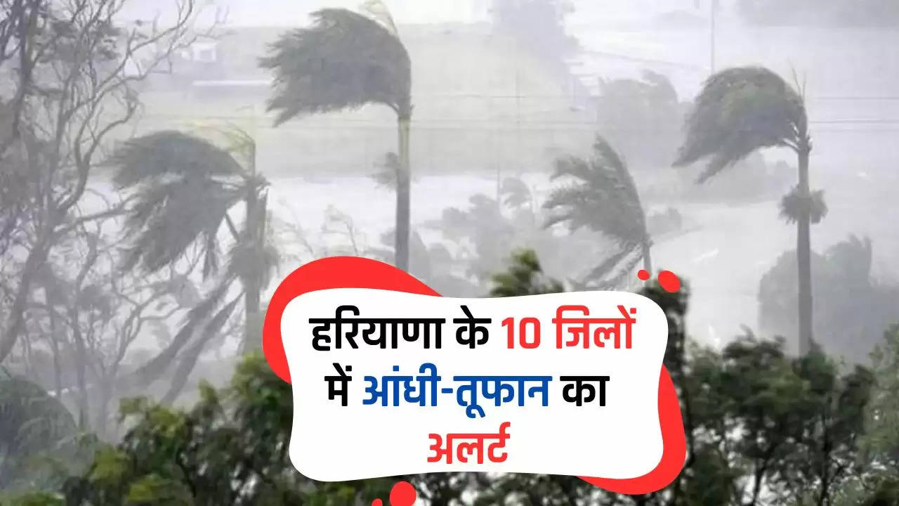  Haryana Weather Update: हरियाणा के 10 जिलों में आंधी-तूफान का अलर्ट, जल्दी चेक करे ताजा मौसम अपडेट 