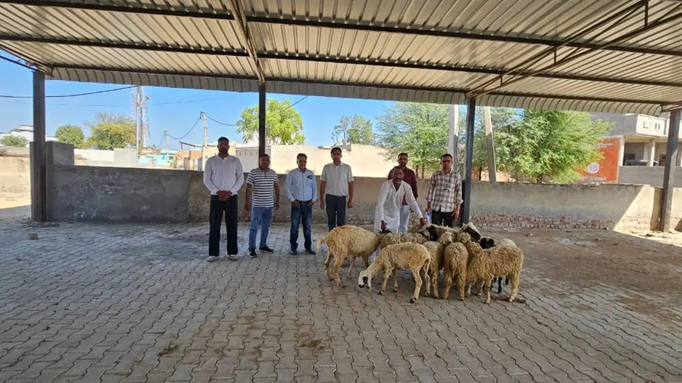 Sheep and Goat Rearing Development Scheme is an initiative of Haryana Government: Dr. Subhash Godara