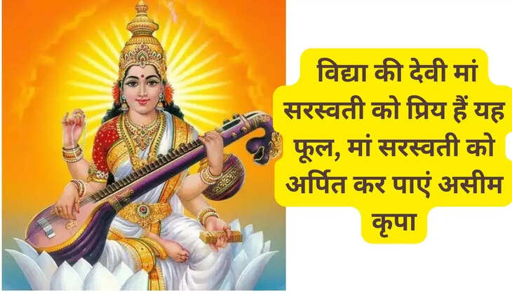 Basant Panchami: This flower is dear to Mother Saraswati, the goddess of knowledge, offer immense blessings to Mother Saraswati