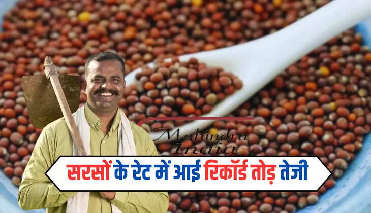 Sarso Bhav : सरसों के रेट में आई रिकॉर्ड तोड़ तेजी, मंडियों में 17 मई को इस रेट से बिकी सरसों