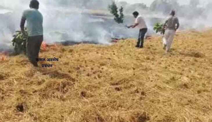 फसल अवशेष प्रबंधन