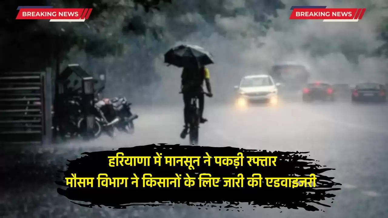  हरियाणा में मानसून ने पकड़ी रफ्तार, मौसम विभाग ने किसानों के लिए जारी की एडवाइजरी