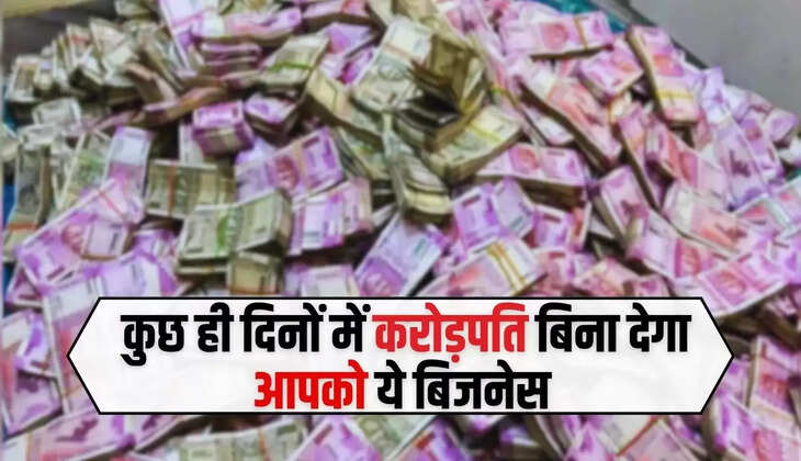  Business Idea: कुछ ही दिनों में करोड़पति बिना देगा आपको ये बिजनेस, यहां जानें