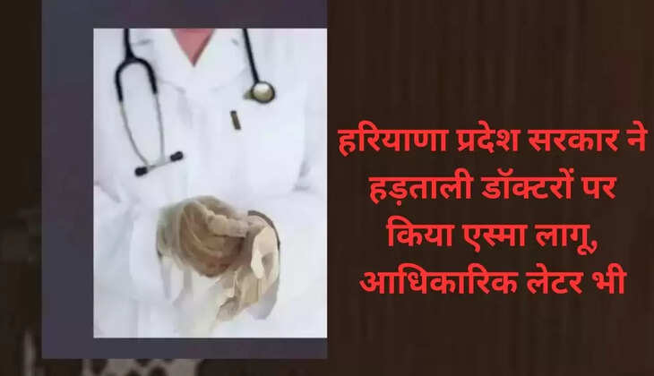 Haryana government invokes ESMA against striking doctors, official letter also issued