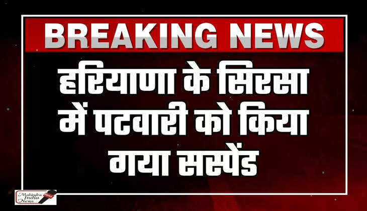 haryana patwari suspend