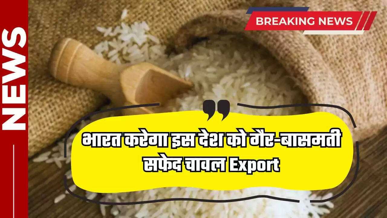 India News: भारत करेगा इस देश को गैर-बासमती सफेद चावल Export, केंद्र सरकार ने दी मंजूरी