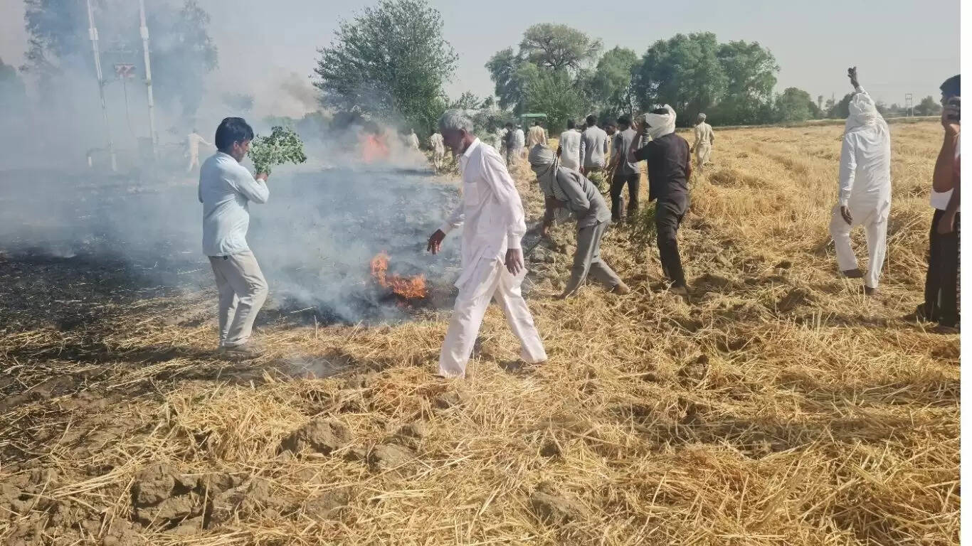 Fire broke out in wheat fields in Dadba Kalan village, villagers quickly controlled the fire