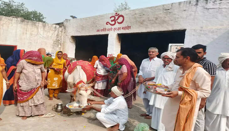 Bhajan Kirtan organized on Gau Ashtami festival, porridge was fed to cows