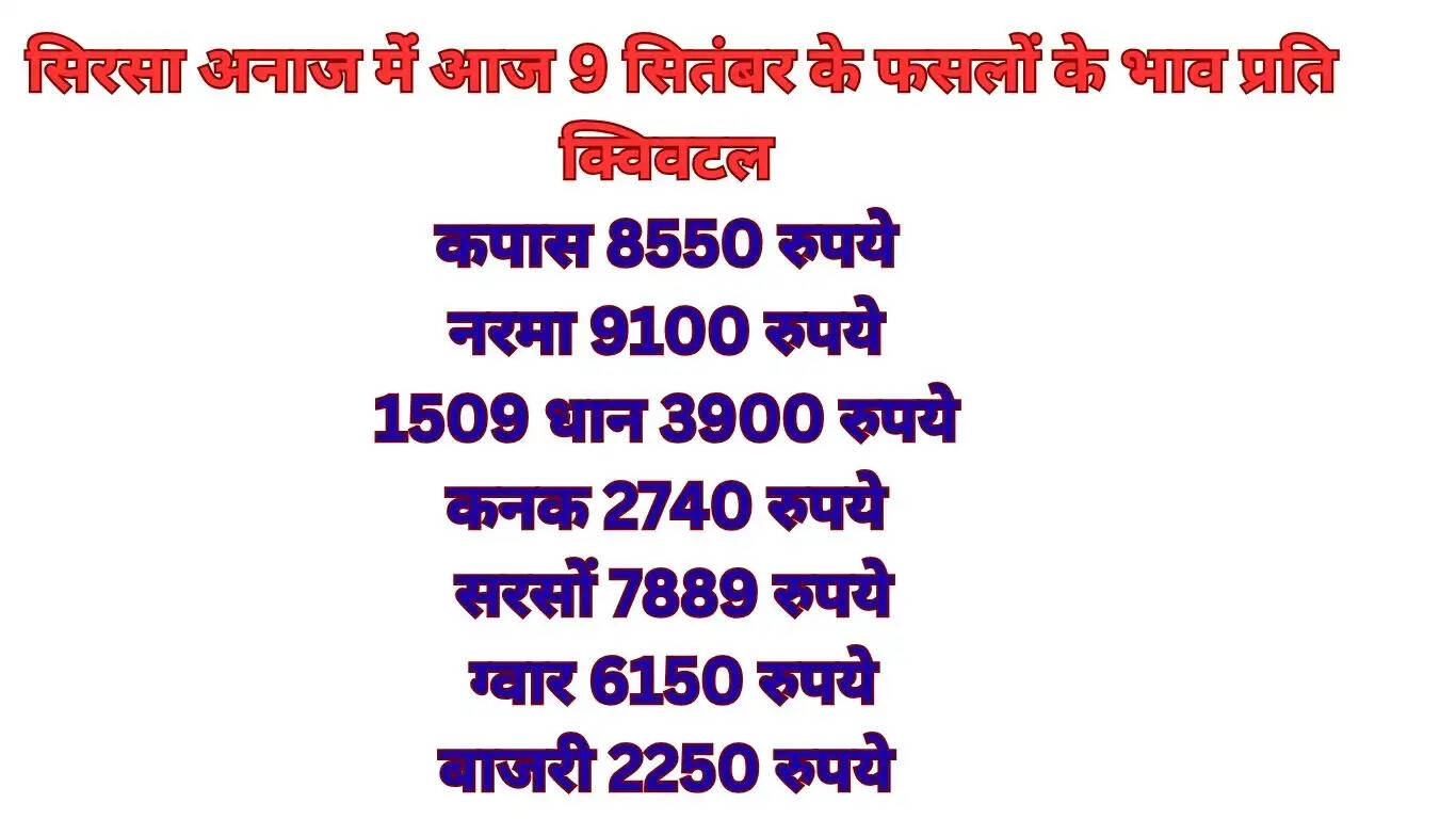 mahendra india  news, new delhi मंडी सिरसा हरियाणा में फसलों की बोली हुई। इस दौरान कई फसलों के रेट में उछाल तो कई फसलों के रेट में मंदी देखने को मिली।  अनाज मंडी में 8 सितंबर, 2026 को फसलें किस रेट से बिकी। इसकी लिस्ट नीचे दी गई है, किसान अपनी फसल  अनाज मंडी में लेकर जाने से पहले आढ़तियों से भाव संबंधी जानकारी अच्छे से लें 