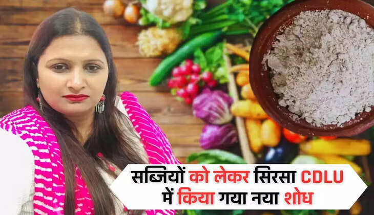 Farmers can increase income by making vegetable powder, new research done in CDLU SIRSA