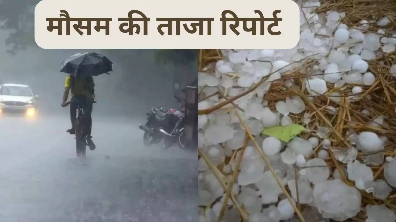 Latest weather report: Pre-monsoon active, possibility of thunderstorm and hailstorm in these areas tomorrow
