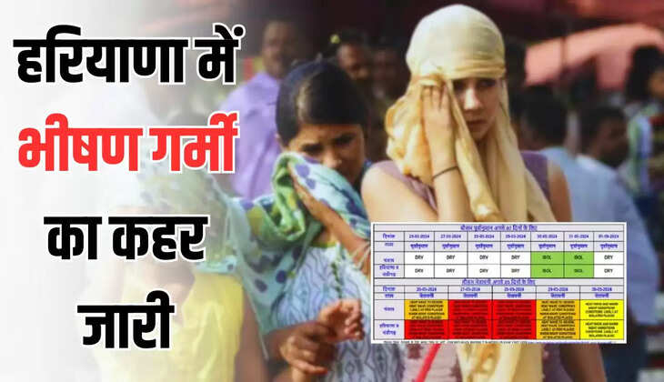  Haryana Weather: हरियाणा में भीषण गर्मी का कहर जारी, 26 साल बाद मई सबसे गर्म, 48 डिग्री पार पहुंचा पारा 