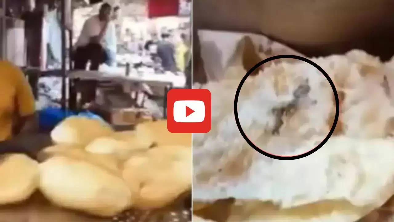  Viral Video: भटूरे में मरी हुई छिपकली देख महिला के उड़े होश, दुकान पर आकर मचाया बवाल, देखें वीडियो ​​​​​​​