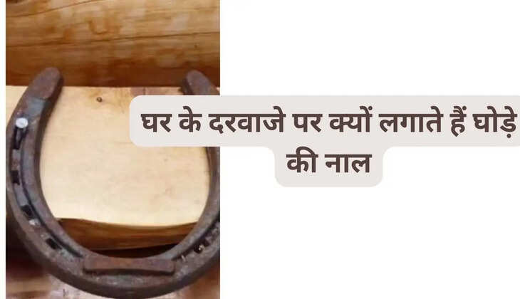 Horseshoe: Why is a horseshoe placed on the door of the house? Know its many benefits