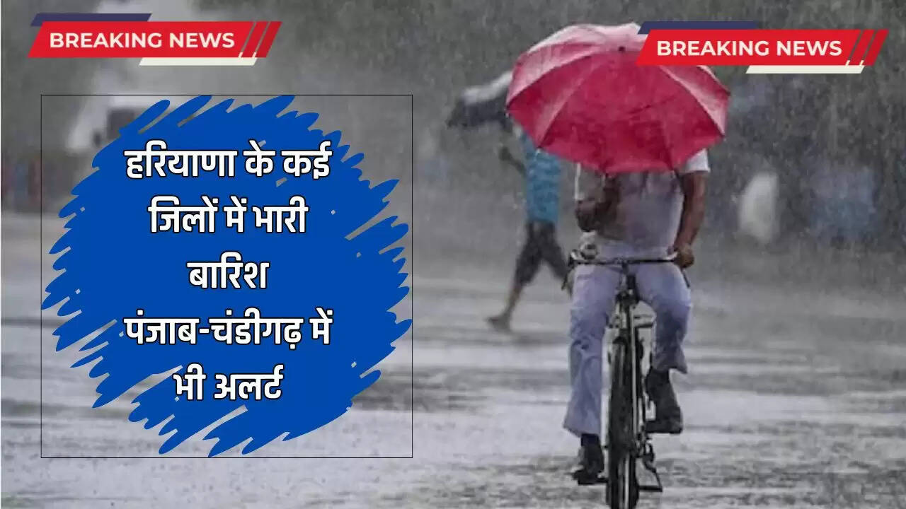 Mousam Alert: हरियाणा के कई जिलों में भारी बारिश, पंजाब-चंडीगढ़ में भी अलर्ट, देखें मौसम विभाग की ताजा अपडेट