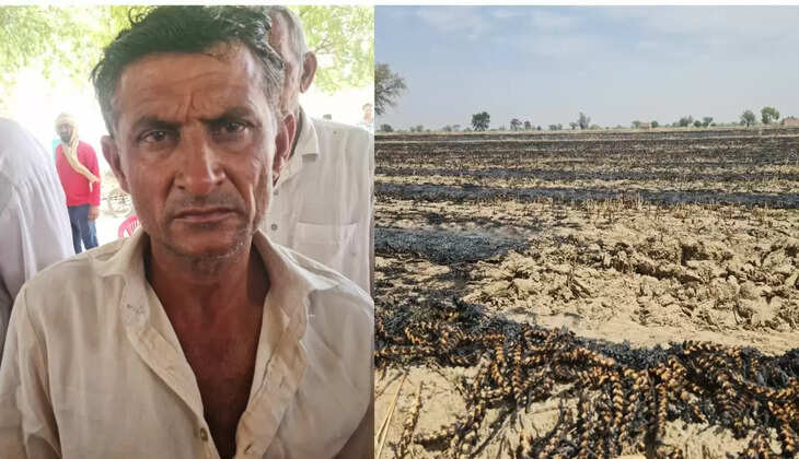 There has been loss due to crop burning, farmers of Haryana can register the details of loss on the compensation portal till May 1