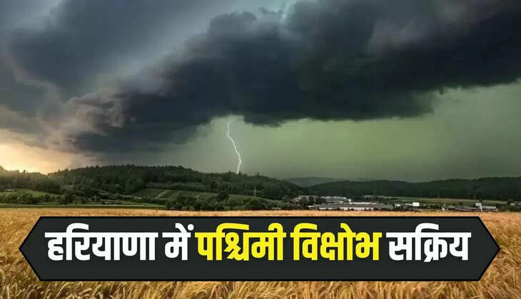  हरियाणा में पश्चिमी विक्षोभ सक्रिय, पंचकूला अंबाला समेत 6 जिलों में बारिश के आसार, देखें मौसम पूर्वानुमान