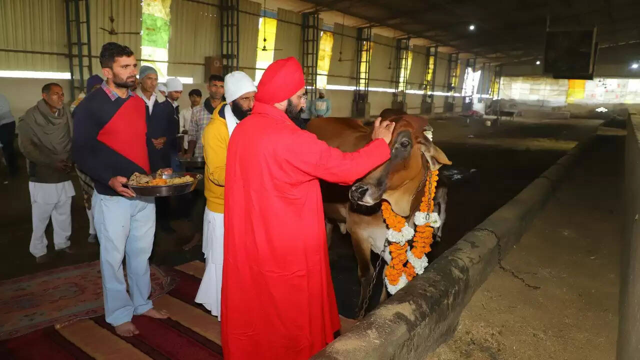 &nbsp; Baba Brahmadas Maharaj inaugurated the cow story at the main Dera Baba Bhumanshah