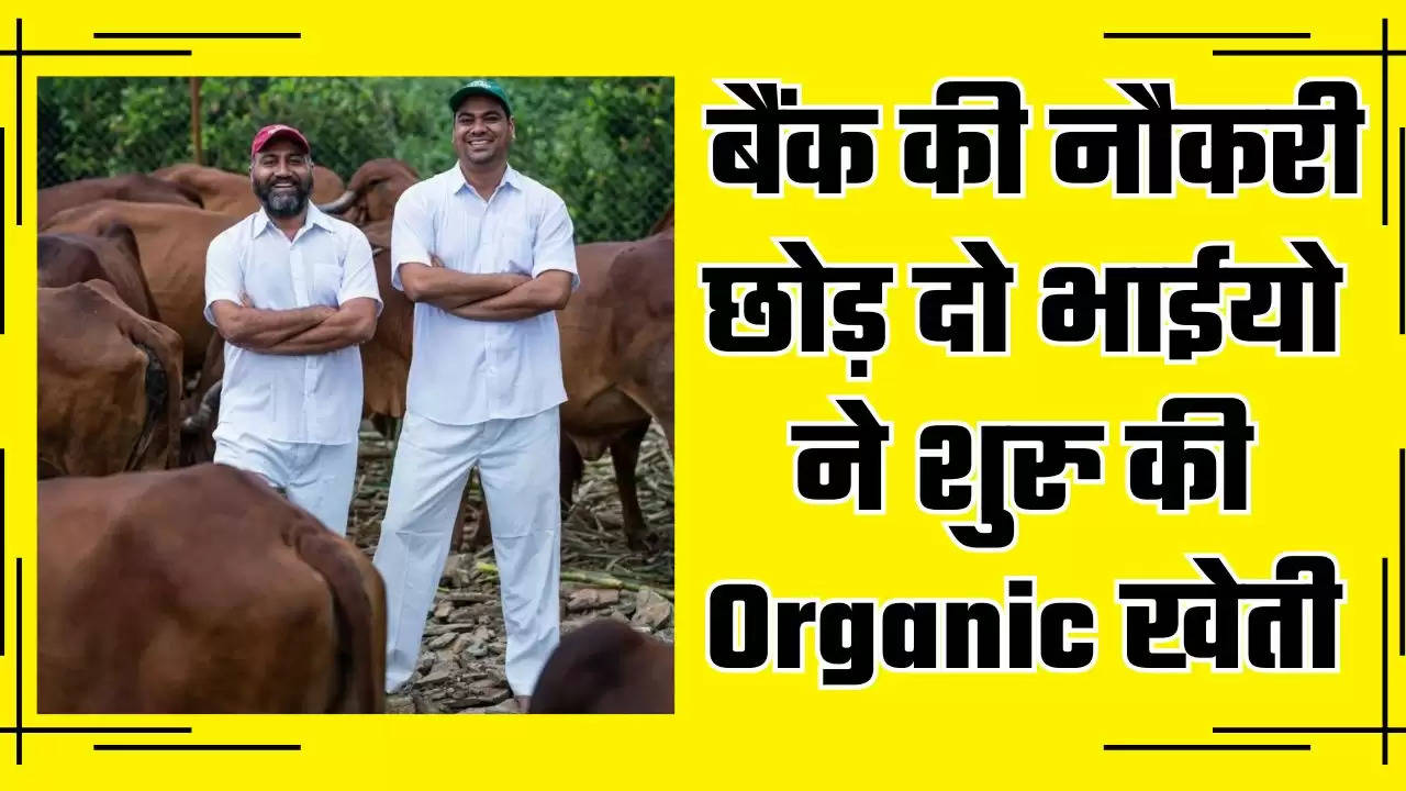  बैंक की नौकरी छोड़ दो भाईयो ने शुरु की Organic खेती, आज कमा रहे करोड़ों रुपये