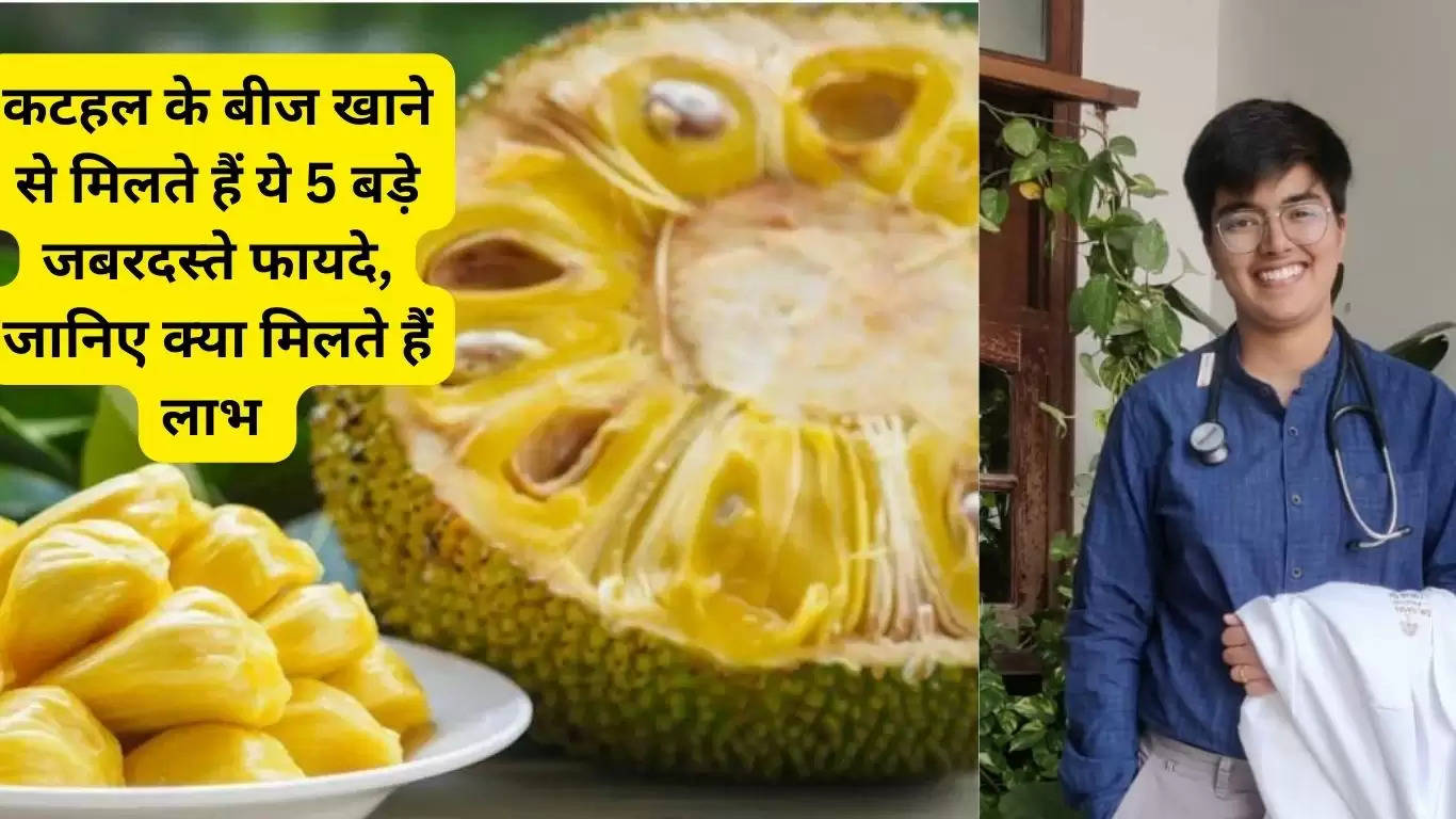 These are the major benefits you get by eating jackfruit seeds, Ayurvedic doctor Dr. Urja Sachdeva told, know what are the benefits