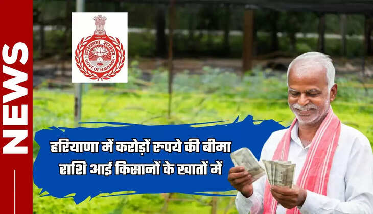  Haryana News: हरियाणा में किसानों की हुई मौज, करोड़ों रुपये की बीमा राशि आई किसानों के खातों में, देखें जल्दी 
