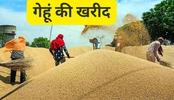 Farmers in Haryana are happy, state government has increased the MSP of wheat, this is the new rate of wheat