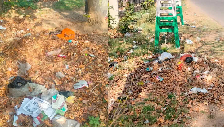 Sector residents of Sirsa are upset with the missing manpower cleaning agency, situation has not improved even after repeated informing