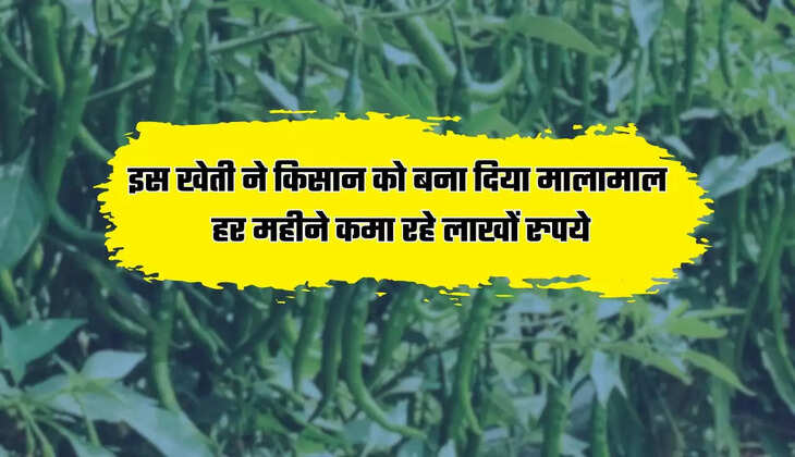 इस खेती ने किसान को बना दिया मालामाल, हर महीने कमा रहे लाखों रुपये