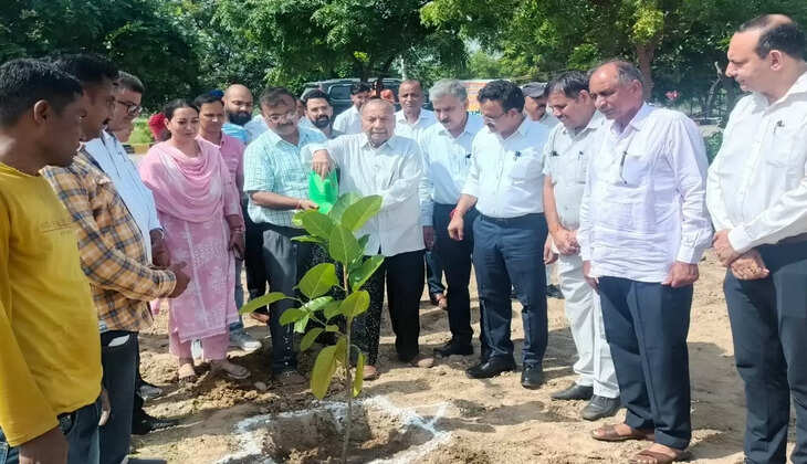 88-year-old Omprakash Garg planted a tree on his birthday at CDLU SIRSA