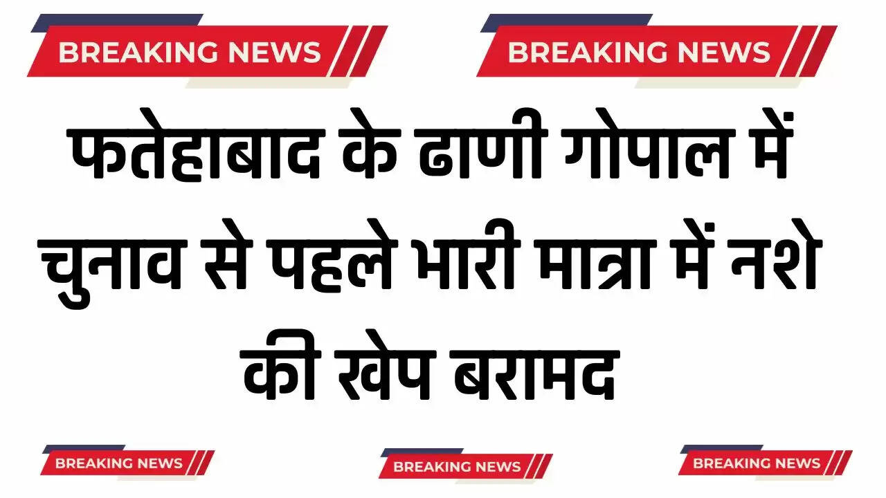 फतेहाबाद के ढाणी गोपाल में चुनाव से पहले भारी मात्रा में नशे की खेप बरामद, जाने पूरा मामला