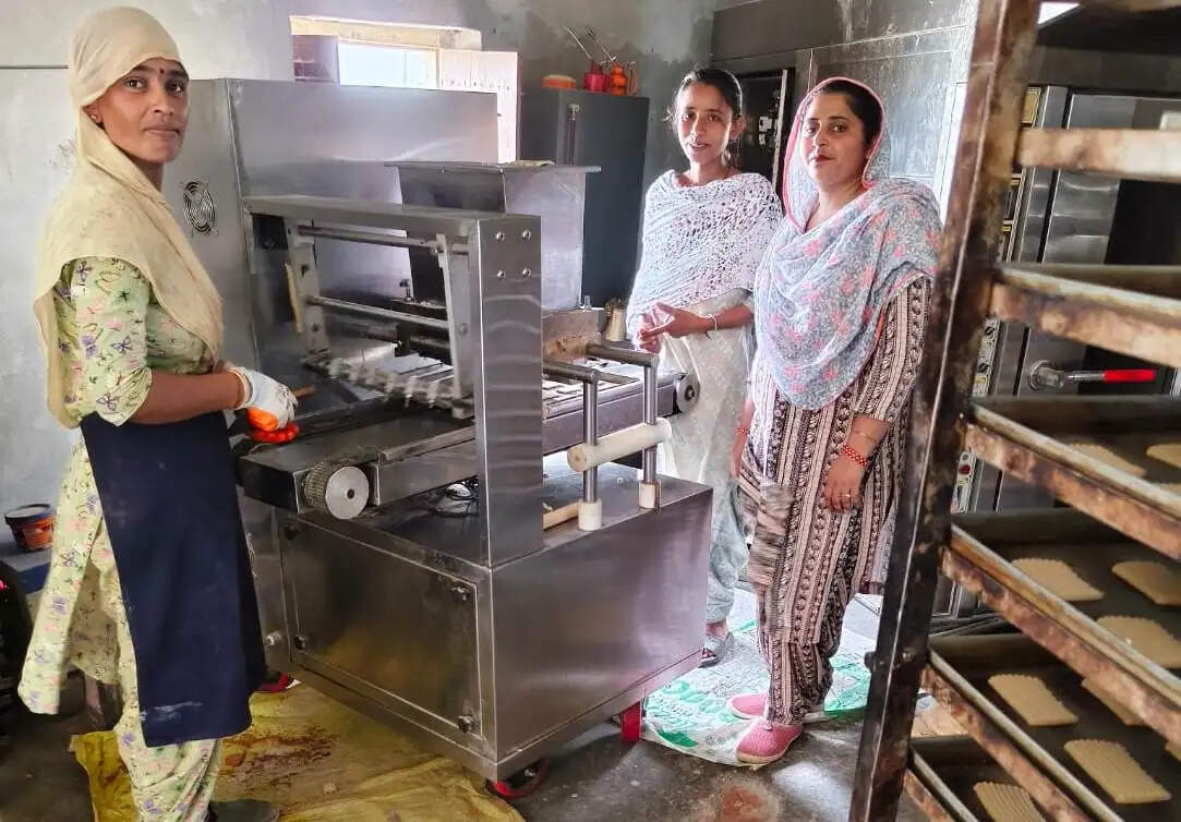With the Haryana government's support, a helping hand has been extended to provide employment; biscuits made in Bani are carving out a distinct identity in Rajasthan as well