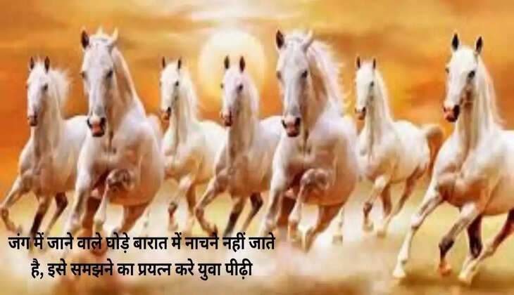  Horses that go to war don't go to dance in wedding processions; the young generation should try to understand this