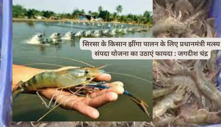 Get registered to avail the benefits of Fisheries Department schemes in Haryana