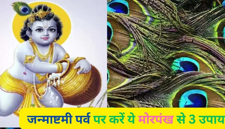  जन्माष्टमी पर्व पर करें ये मोरपंख से 3 उपाय